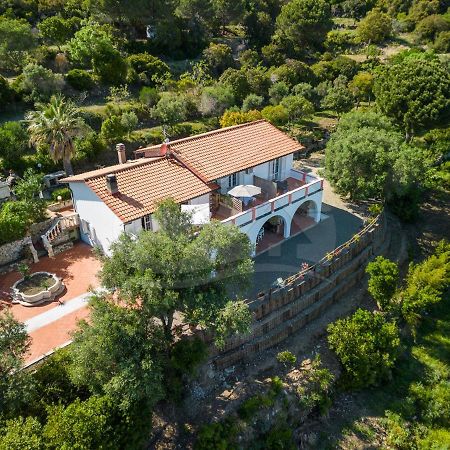La Palazzina Nel Verde - Goelba Casa Alzi Exteriér fotografie