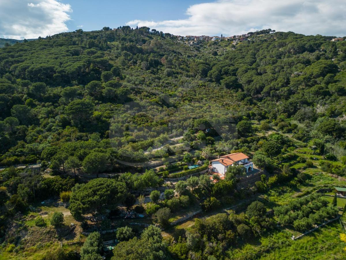 La Palazzina Nel Verde - Goelba Casa Alzi Exteriér fotografie